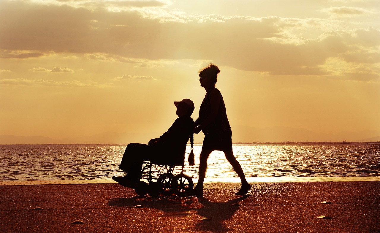 wheelchair, walk, nature, care, disabled, couple, sea, sunset, characters